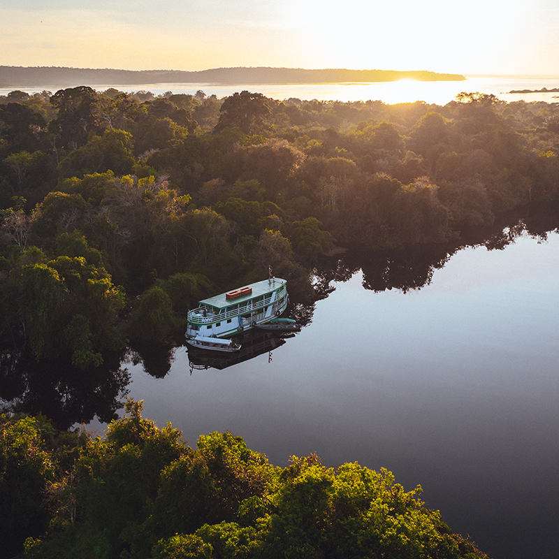 Voyage Amazonie 2026