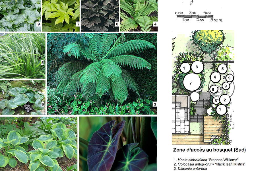 conception paysagère